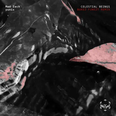 Celestial Beings (Bukez Finezt remix)