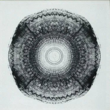 Sycomore