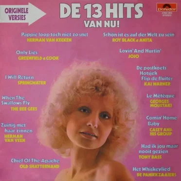 De 13 hits van nu! by Various Artists - album cover