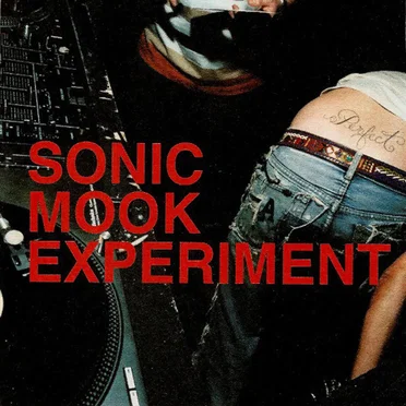 Sonic Mook Experiment by Various Artists - album cover