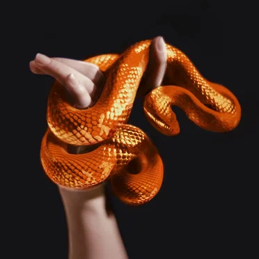 i don’t believe in God (remixes)