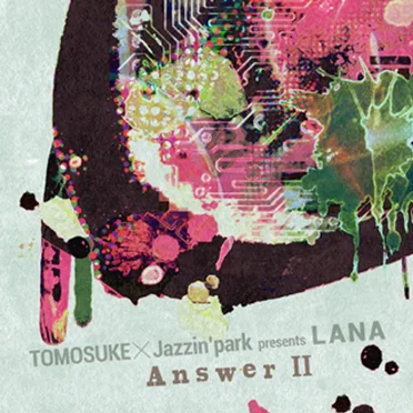 LANA -Answer II-