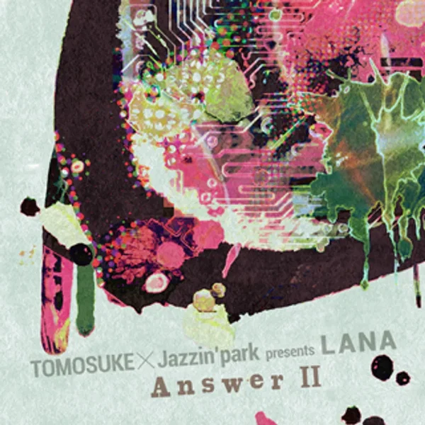 LANA -Answer II-
