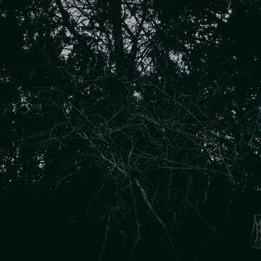 Mutagen by Tulpa Twin - album cover