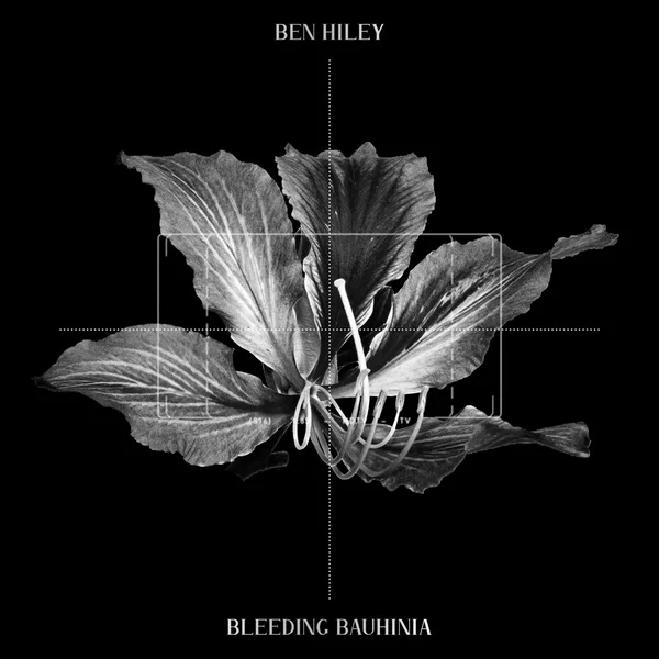 Bleeding Bauhinia