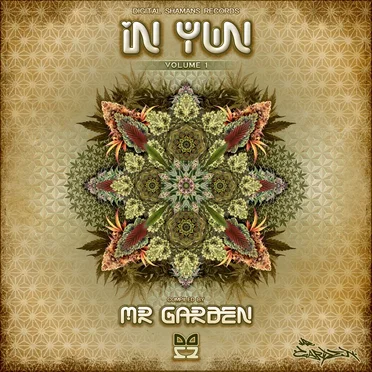 IN YUN by Various Artists - album cover