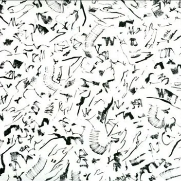 Sky Swimming by Elephant - album cover