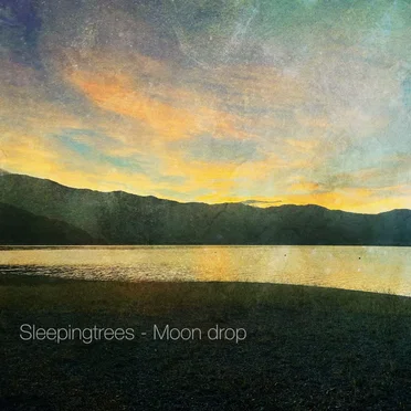 Moon drop by Sleepingtrees - album cover