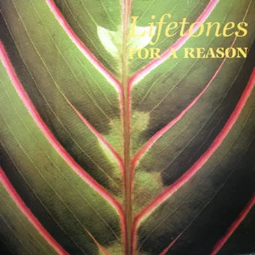 For a Reason by Lifetones - album cover