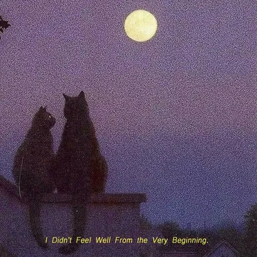 I Didn’t Feel Well from the Very Beginning
