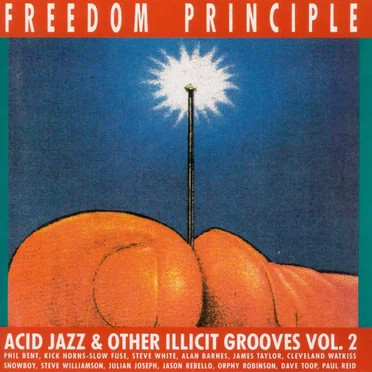 Freedom Principle (Acid Jazz & Other Illicit Grooves Vol. 2) by Various Artists - album cover