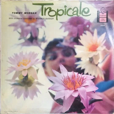 Tropicale by Tommy Morgan - album cover