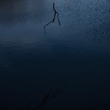 In the Wake of Mountains