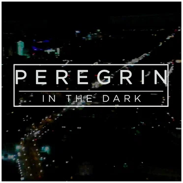 In the Dark