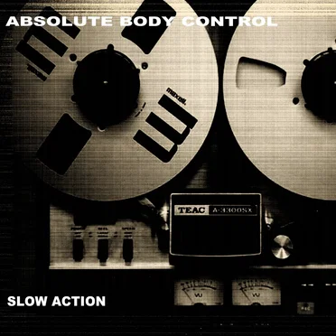 Absolute Body Control
