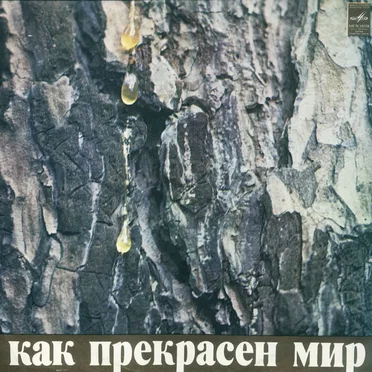 Как прекрасен мир