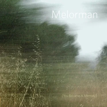 You Became a Memory by Melorman - album cover