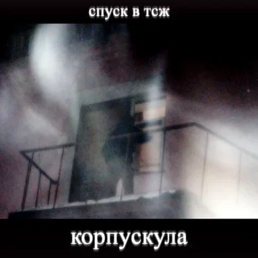 корпускула by спуск в тсж - album cover