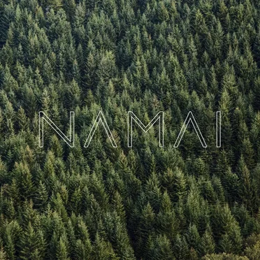 Namai