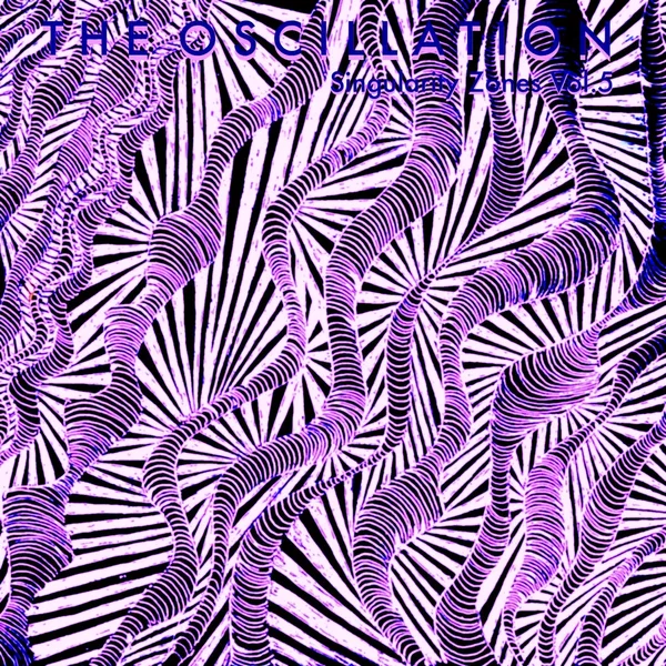 Singularity Zones Vol.5