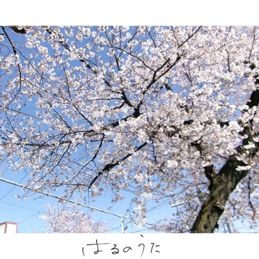 はるのうた