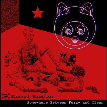 Somewhere Between Fuzzy and Clean by Shaved Hamster - album cover