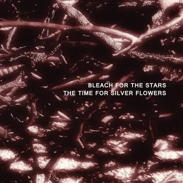 The Time For Silver Flowers by Bleach for the Stars - album cover
