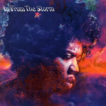 In From the Storm by Various Artists - album cover