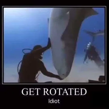 get reverbed idiot
