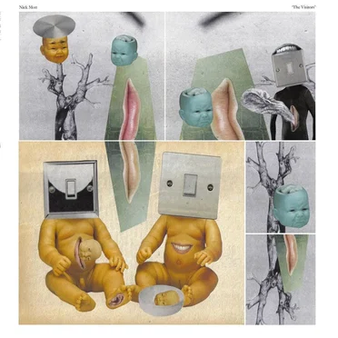 The Visitors by Nick Mott - album cover