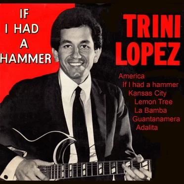 If I Had a Hammer