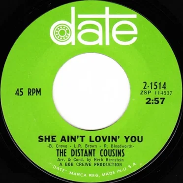 She Ain't Lovin' You / Here Today, Gone Tomorrow by The Distant Cousins - album cover