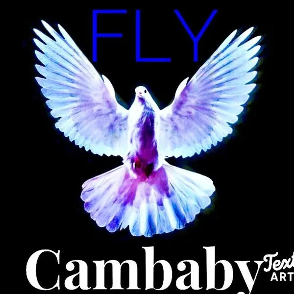 Fly