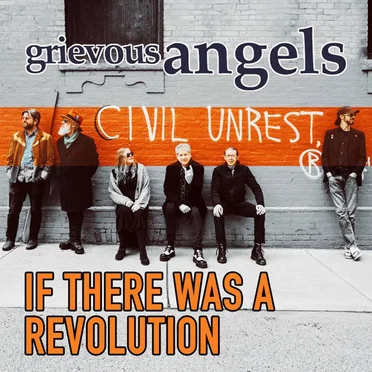 If There Was a Revolution