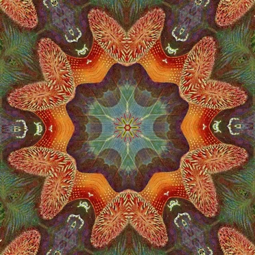 Ailivimphos