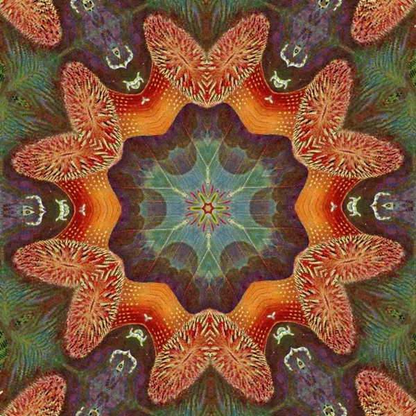 Ailivimphos