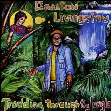 Trodding Through the Jungle