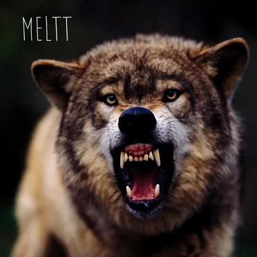 Meltt - EP