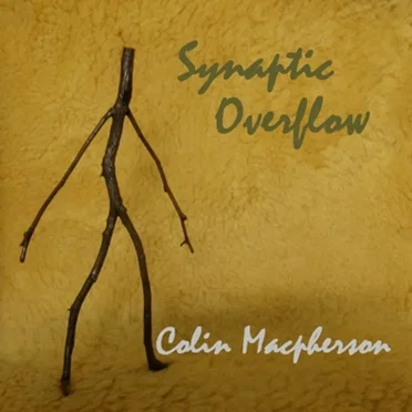 Synaptic Overflow