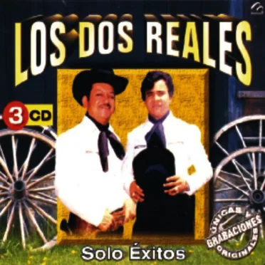 Sólo éxitos