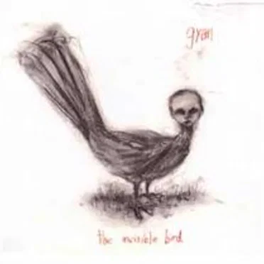 The Invisible Bird