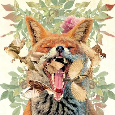 Cats vs. Wolves [single]