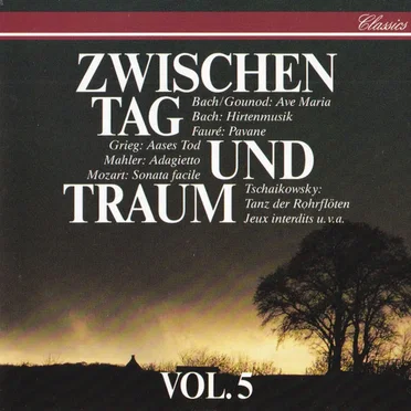 Zwischen Tag und Traum, Volume 5 by Various Artists - album cover