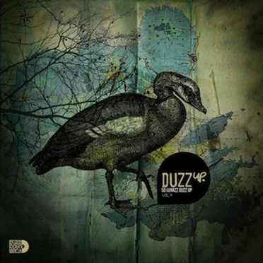 DuzzUp, Volume 4 by Various Artists - album cover