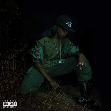 Back to the Woods by Angel Haze - album cover