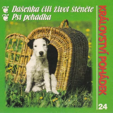 Království pohádek 24 by Various Artists - album cover