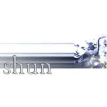 Michael in Reign by Shun - album cover