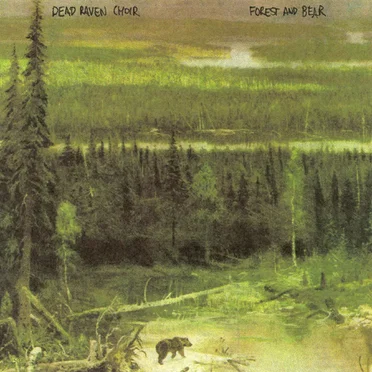 Forest and Bear