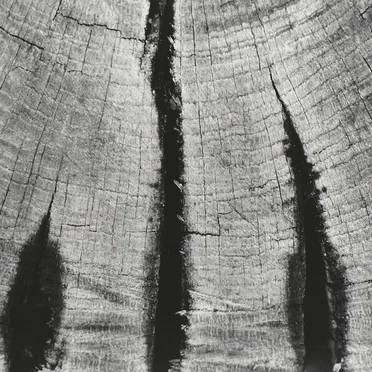 Live at Paradiso, Amsterdam The Netherlands. October 30th 2002.