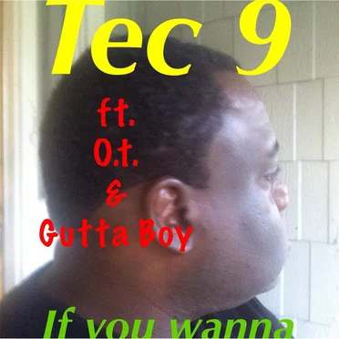 If You Wanna by Tec 9 - album cover